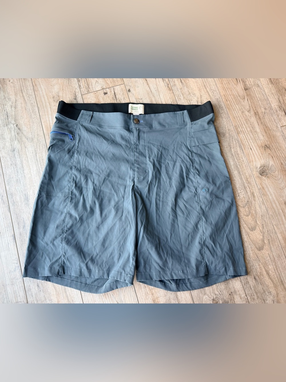 Alpine Parrot Men's Gray Performance Shorts Size 3